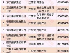 2020中国民营企业500强发布,华为 苏宁 正威排名前三