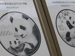 熊猫金银纪念币图稿首次公布