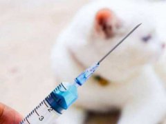 中国疫苗或有比较长期的保护作用 中国疫苗能长期保护
