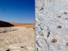 沙特发现距今12万年前的人类脚印 人类脚印化石值钱吗