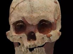 16000年前的人头骨化石 人头骨化石有价值吗