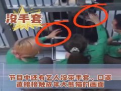 韩国艺人违规接触熊猫幼崽 脑残粉护主称怕熊猫抓伤爱豆