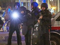 圣战分子宣布为维也纳袭击负责 对恐怖袭击负责是什么意思