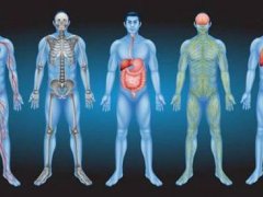 科学家在人体内发现未知新器官 科学家发现新器官