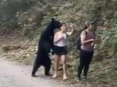 女子路遇野生黑熊被抱住淡定自拍 在野外遇到黑熊怎么逃生