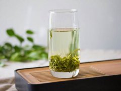 绿茶和菊花能一起泡吗 绿茶可以和菊花一起泡吗