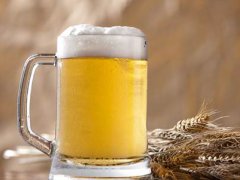 喝啤酒会不会长痘 喝啤酒会长痘痘吗 喝啤酒会导致长痘痘吗