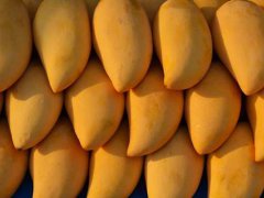 吃芒果过敏有哪些症状 吃芒果过敏了怎么处理