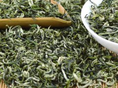 绿茶是凉性的吗 绿茶性寒吗