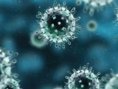 核酸阴性能否排除冠状病毒感染 新型冠状病毒核酸阴性能排除吗