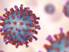 新冠病毒能在低温下存活吗 新冠病毒能冻死吗