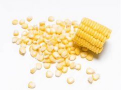 生酮减肥法能吃玉米吗 生酮减肥法可以吃玉米吗