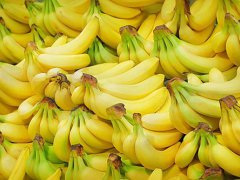 芭蕉和香蕉的区别(香蕉和芭蕉是同一种吗？)