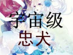fgo英灵图鉴No.284 阿尔托莉雅·Caster