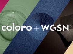COLORO联合WGSN发布2022/23秋冬流行色关键色