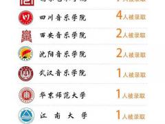 音乐生学音乐专业以后可以有哪些出路？