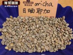 埃塞俄比亚咖啡豆介绍埃塞的咖啡豆有什么风味特点埃塞