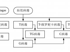 生化危机病毒发展史