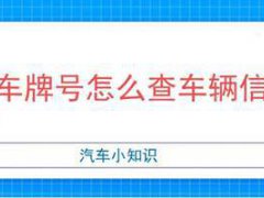 通过车牌号能够查到车主信息吗？