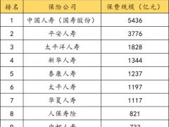 保险公司十大排名 2020年,哪家保险公司实力最强？