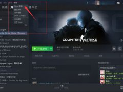 CSGO新手指南 国服和国际服介绍（区服切换,名字变成数字）