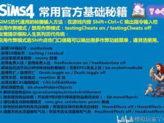 模拟人生4 常用官方秘籍