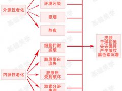 抗老入门必看 可能是史上最全的抗老成分解读