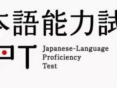 (考试指南)日本语能力考试-超全考前指导