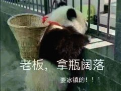 熊猫是怎么叫的