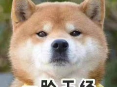 滴胶新手入门篇(新手必看)