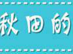 FGO国服2021新年福袋分析,价值最高的福袋就要来了