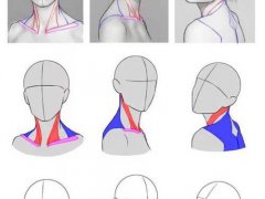 初学者如何自学素描？人体入门基础素描教程,绘画小白(收藏)