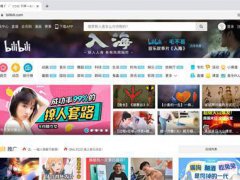 bilibilihelper哔哩哔哩谷歌浏览器助手v1.2.25中文免费版