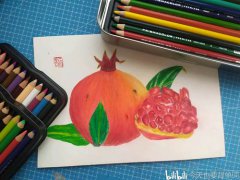 三福霹雳马彩铅prismacolor使用体验