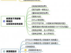 泰迪狗怎么训练？适合所有狗的品种的最佳训狗教程