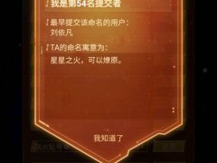 火星车征名