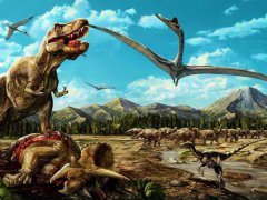 恐龙真的都灭绝了吗？科莫多龙咋和恐龙那么像？恐龙后裔其实