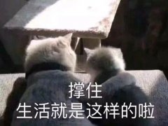 原耽小说推荐－20篇什无限流