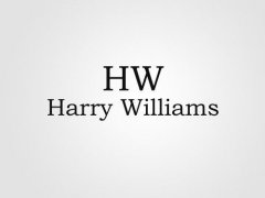 hw手表是什么牌子?哈里威廉harrywilliams手表怎么样
