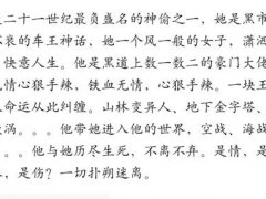 推书 (盗情)