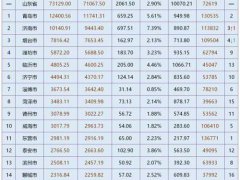 2020年山东省各市GDP,青岛排名位居第一,省会济南排名第二