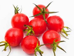 圣女果,到底和西红柿是什么关系？