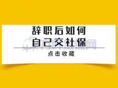 辞职后如何自己交社保你知道不？一起来看看