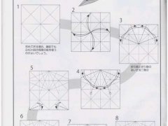 折图大放送,南岛和英yf23战斗机