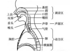 中传播音系晨功训练大揭秘