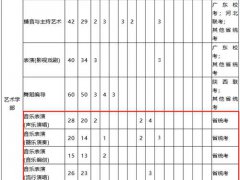 音乐艺考 深圳大学2021艺术类专业目录与招生简章