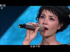 2011年中央电视台春节联欢晚会高清版1080i截图（16 9）