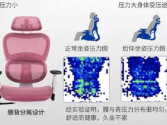 一千元可以从小用到大的人体工学椅,达宝利S10开箱体验