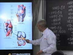 (系统解剖学全集)霍琨老师人体解剖学视频+讲义