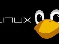 (Linux教程)Linux系统零基础编程入门,想当大神？这些你都要学~